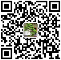 掃一掃關(guān)注